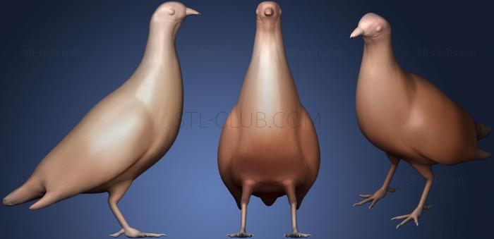 3D model Grey Partridge (STL)